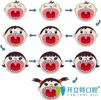 提供乳牙和恒牙的区别,以及乳牙的换牙顺序和时间